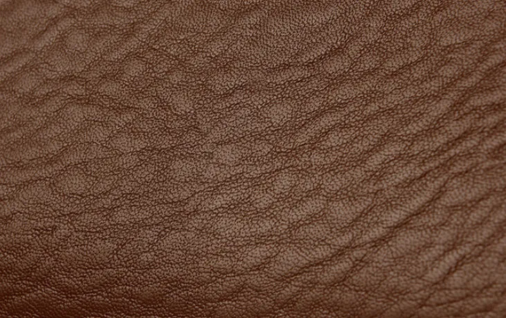 Heritage Buckle Crossbody Bag detail 6